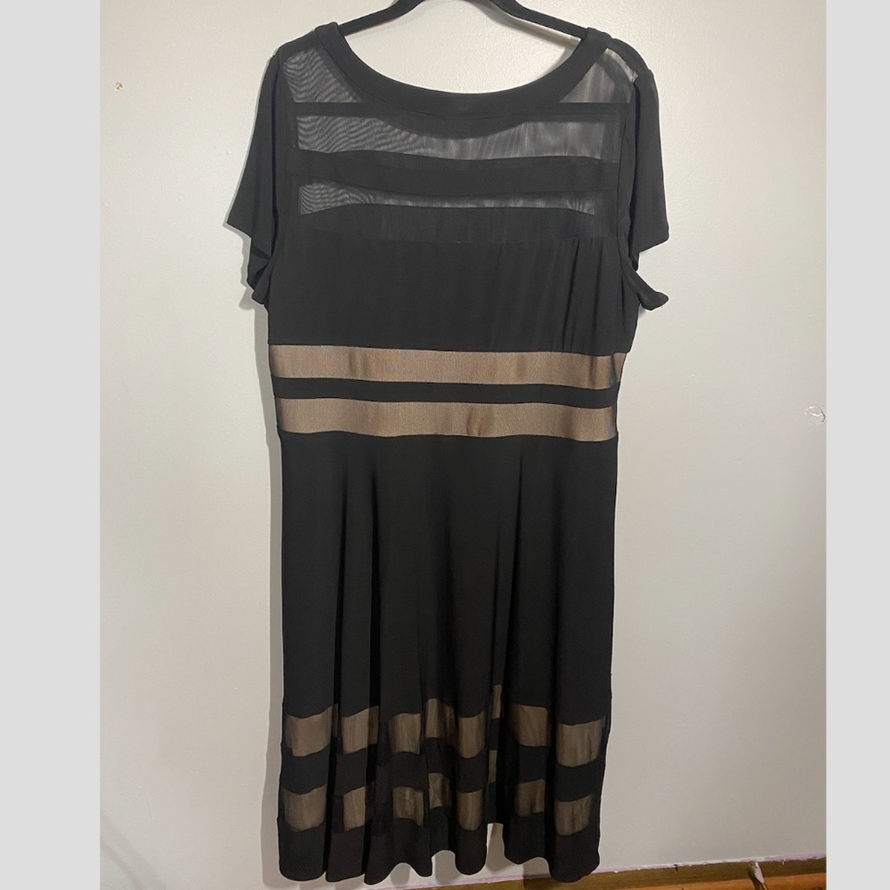 Black and Tan Mesh Dress